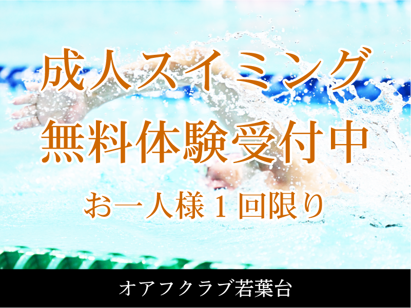 フィットネス7回体験 フィットネス7回体験
