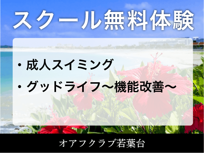 フィットネス7回体験