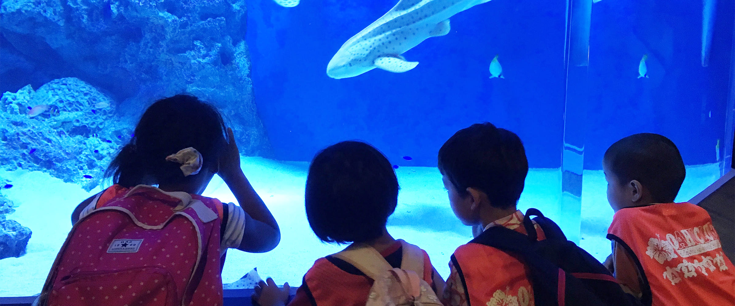 オアフクラブ学童保育石神井公園校　水族館　イベント